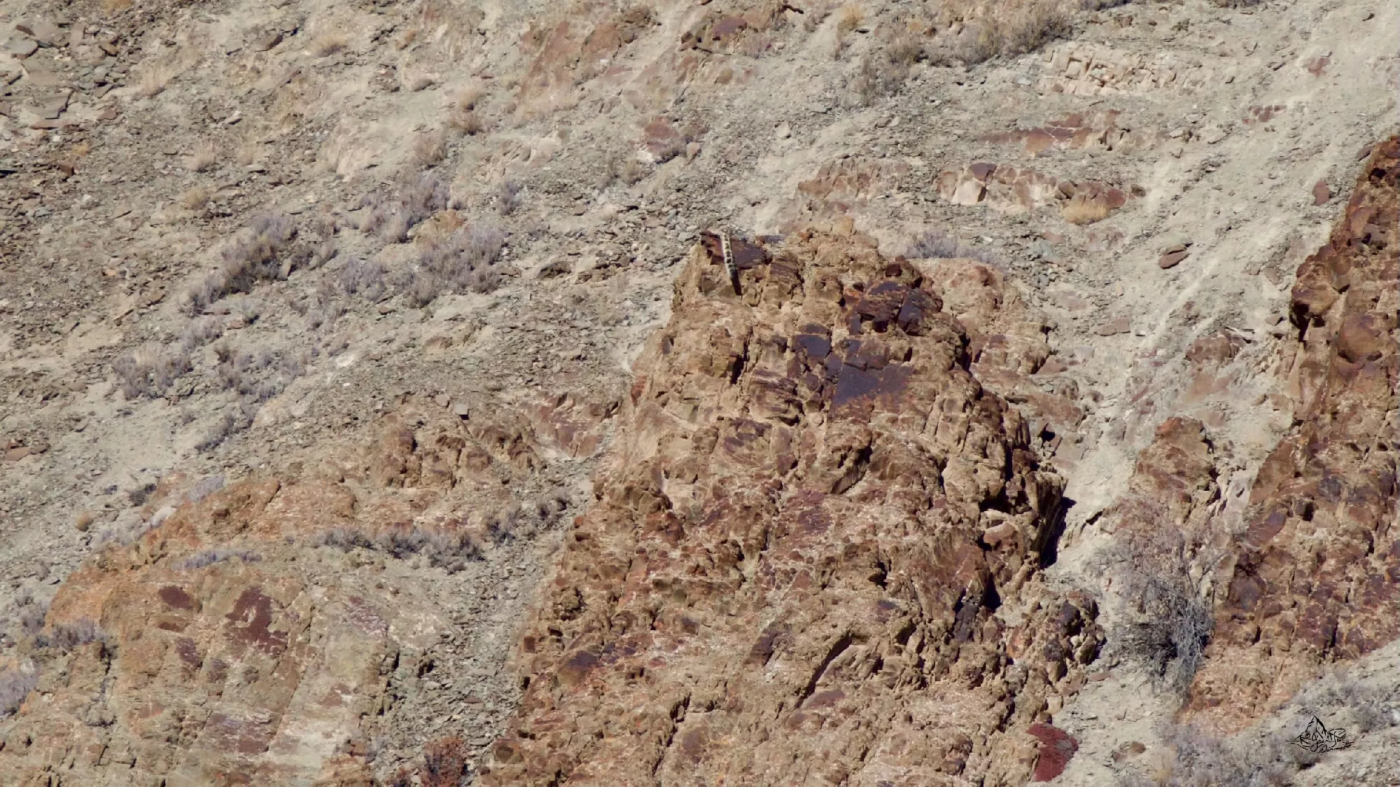 Portfolio/Ladakh/Photos/05_Z9A3604 copie.webp